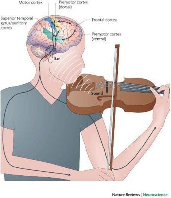 does music count as screen time? how does the integration of sound affect our perception of visual media?