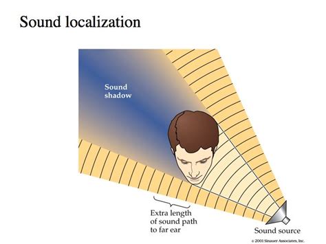 what does midrange mean in music and how does it shape our auditory perception of melodies?